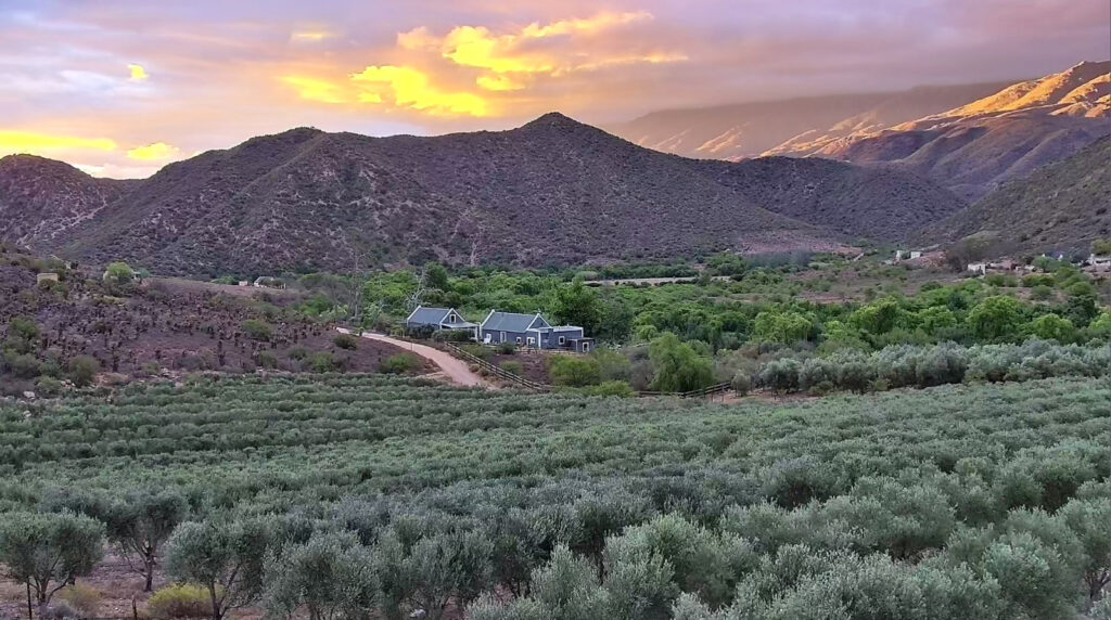 Karoo Liquid Gold