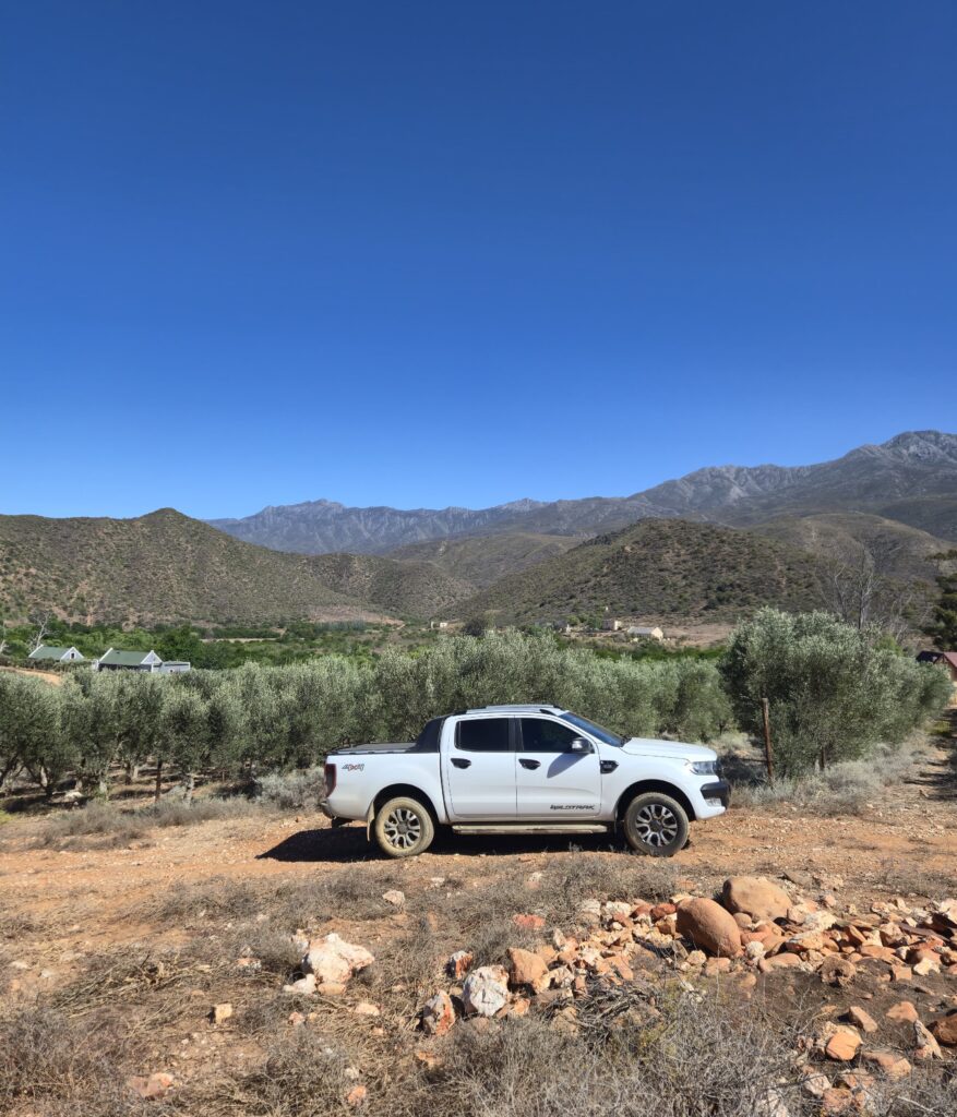 Karoo Liquid Gold